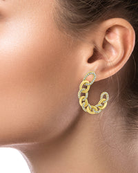 Curved Chain Earrings