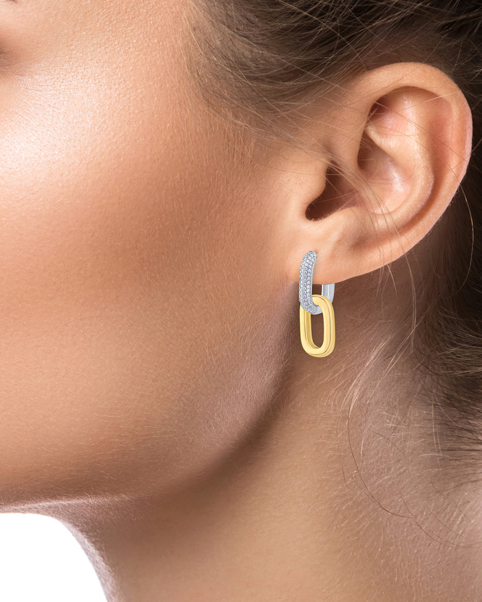 Double Link Earrings